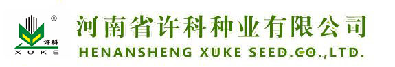 河南省黄瓜视频软件種業有限公司